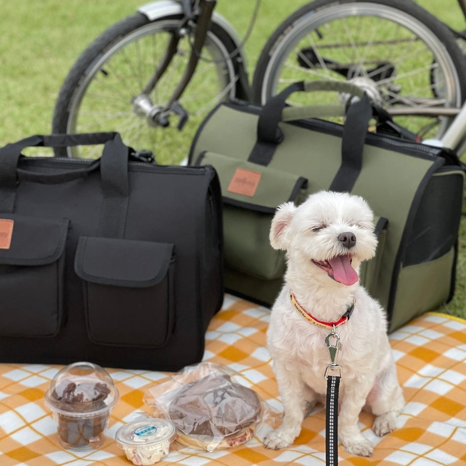 SoPoong Pet Carrier - Black