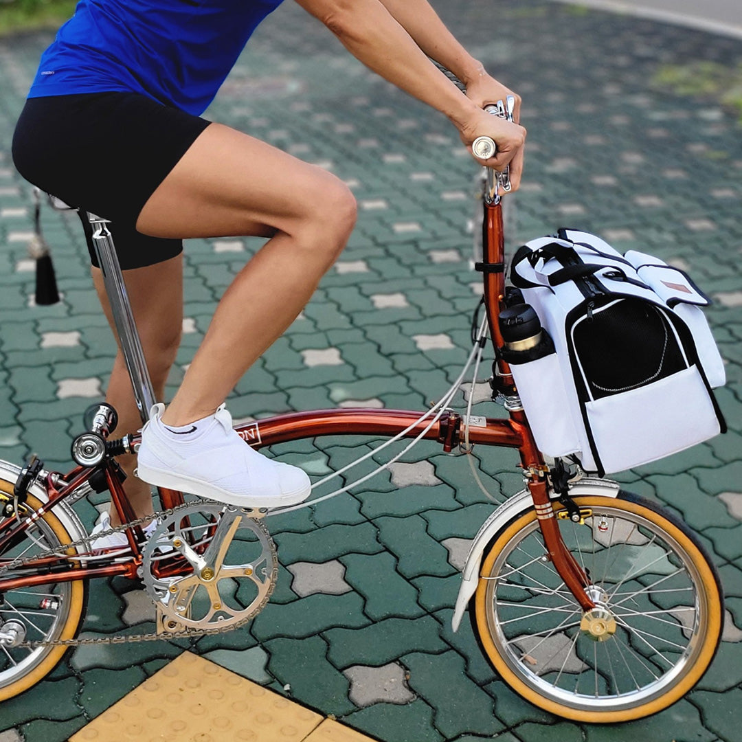 SoPoong Pet Carrier - White