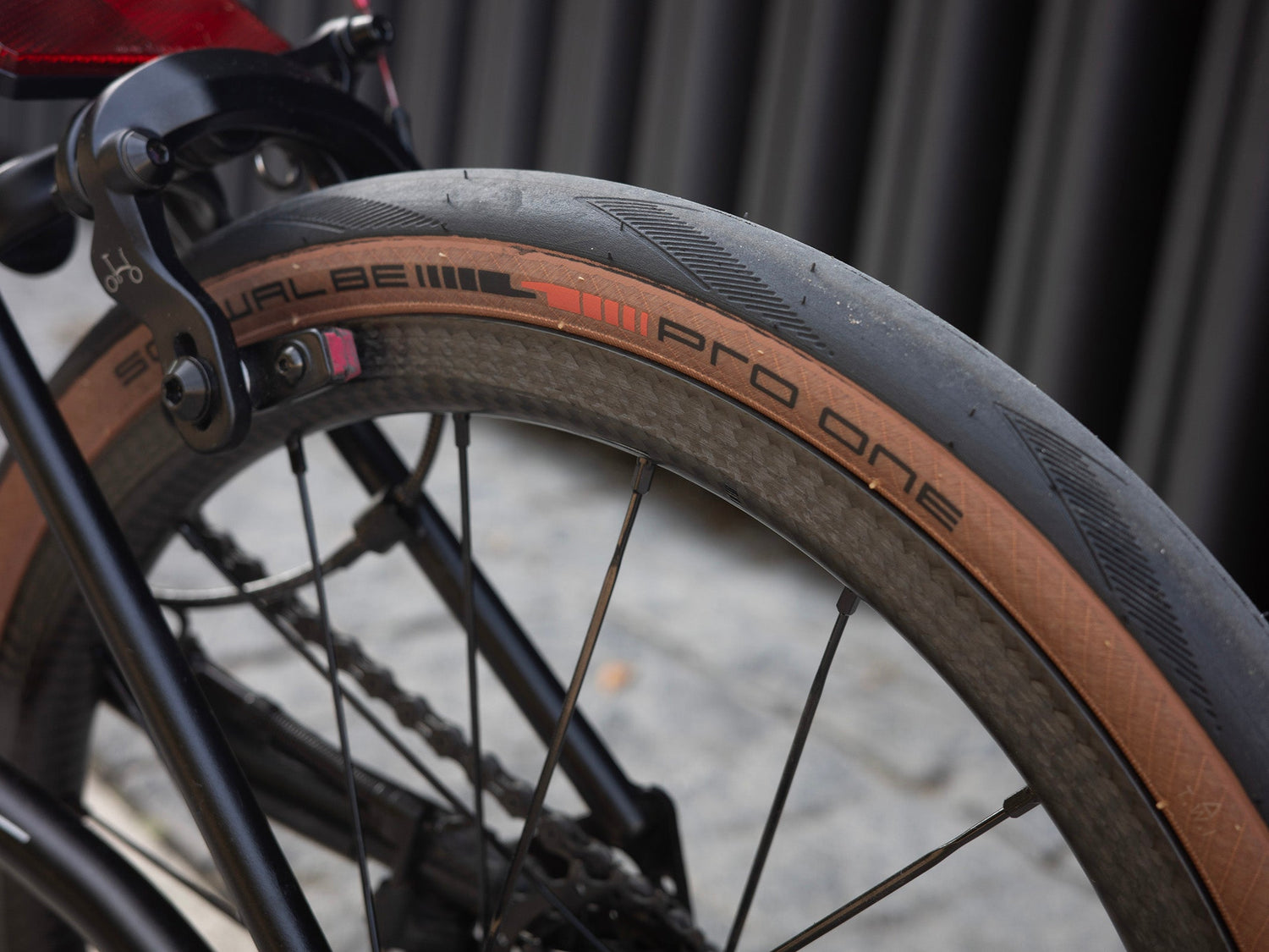 SCHWALBE