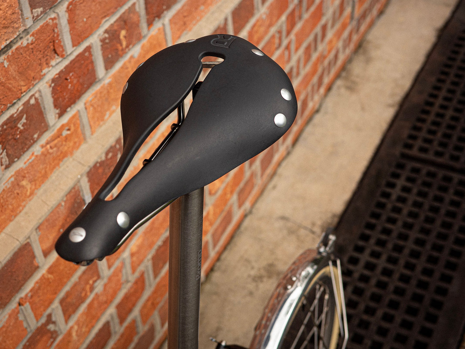 Selle Anatomica